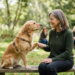 Stage communication animale : Le guide complet pour éveiller votre écoute intuitive