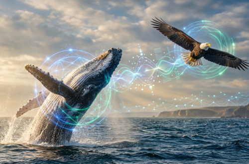 Communication animale à distance : Protocoles quantiques et mécanismes de transfert d'informations non-locaux